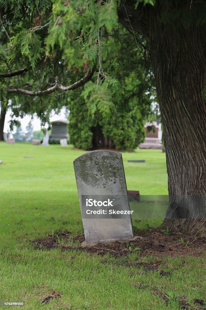 Vuoto headstone sotto un albero - Foto stock royalty-free di 2015