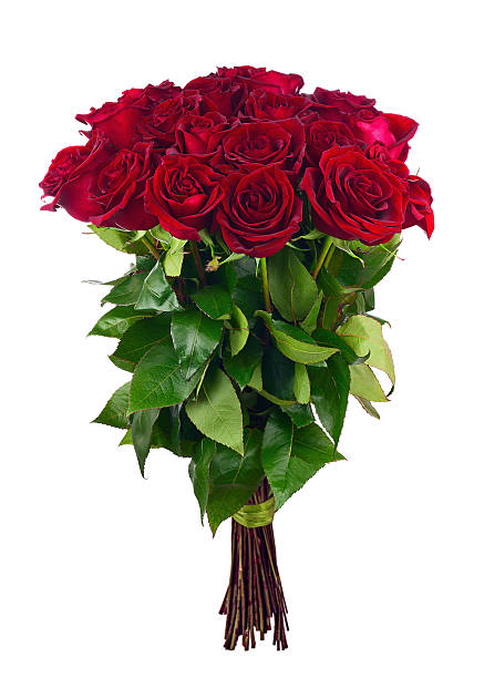 istock Bouquet of blossoming dark red roses. 476598872