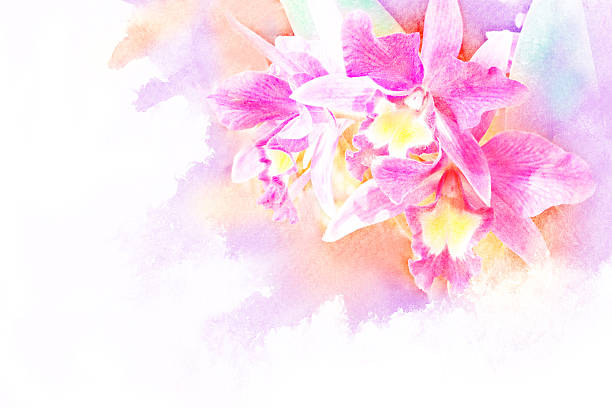 istock Flower watercolor illustration. 476600206