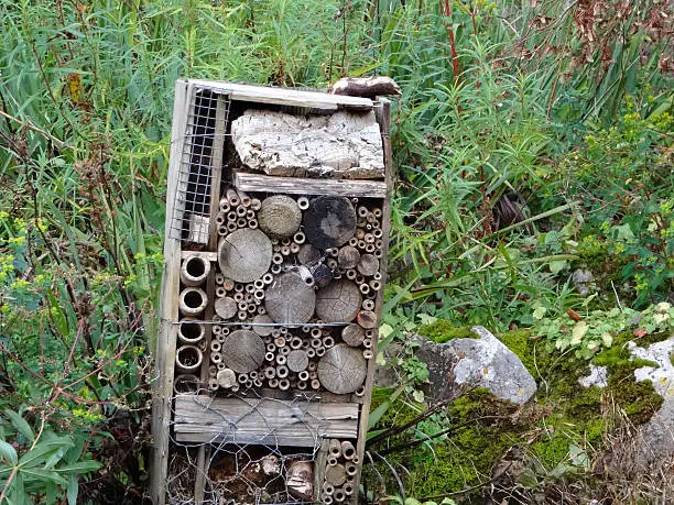 Photo showing a homemade insect home, which is freestanding and pictured in a springtime wildlife garden, where it is surrounded by grasses and wild primroses.  This bug hotel provides different sized gaps and holes where insects can shelter.