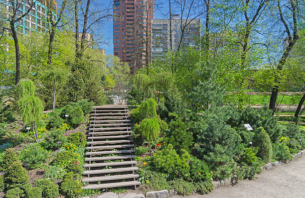 istock Conifer trees in a botanical garden. 476601738