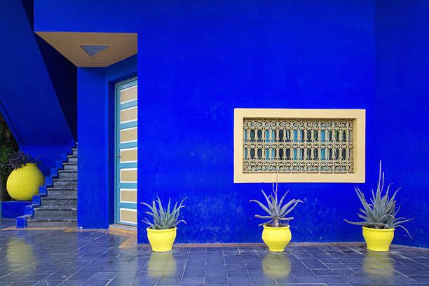 Imagen gratis: Amarillo y azul: los colores icónicos del estilo ...