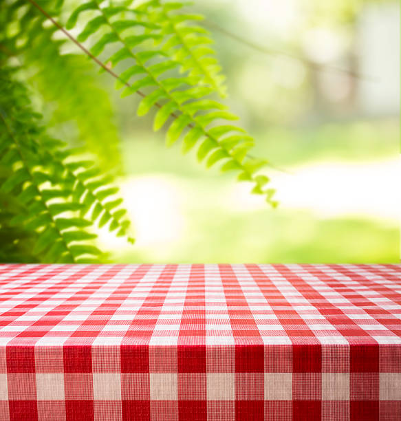 istock Summer picnic in park area. Fern, checked tablecloth, table. 476603760
