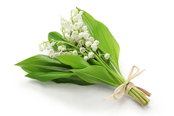 Photo of lily of the valley posy