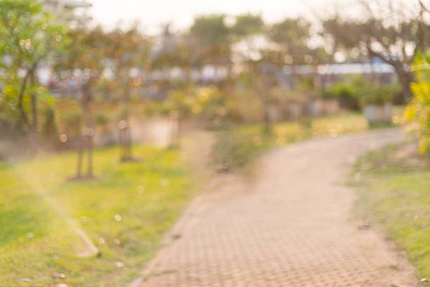 istock Out of focus , Garden Walkway 476609522