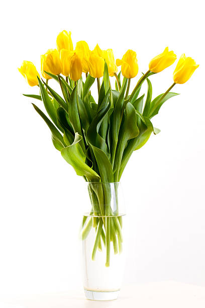 istock bouquet of tulips on a white background 476611446