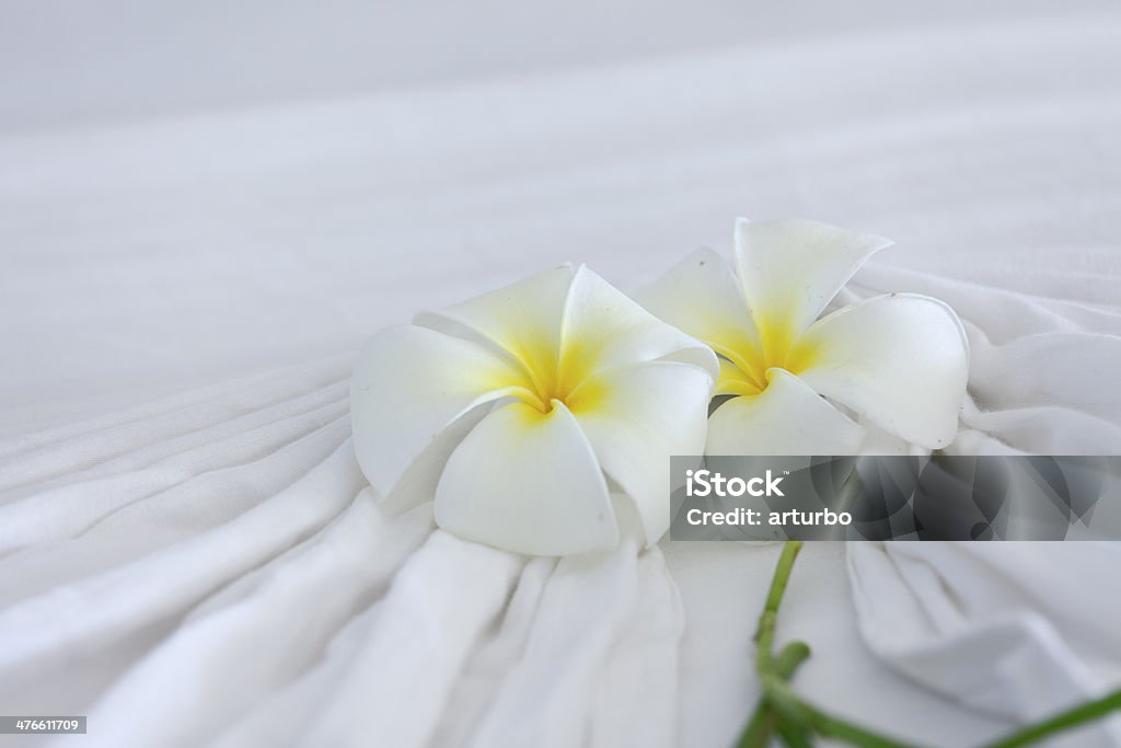 hotel bed bedsheet two temple flower blossom decoration  Sri Lanka two hotel bed bedsheet temple flower blossom decoration  Sri Lanka Bed - Furniture Stock Photo