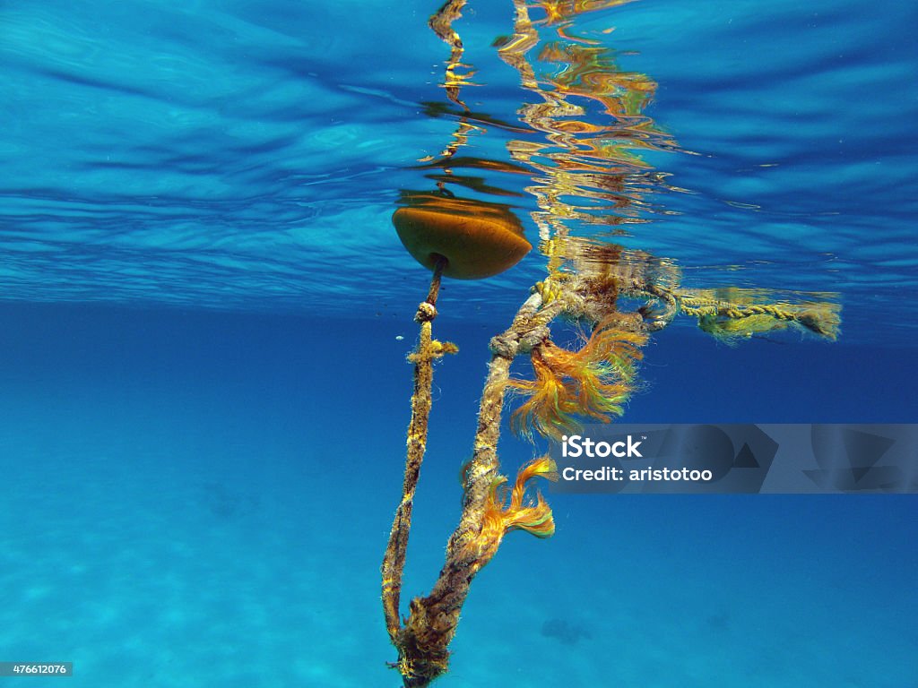 Underwater Image of a Buoy Underwater image of a buoy with rope in clear blue water. Red Sea, Egypt.  2015 Stock Photo