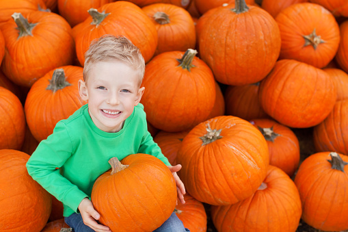 little excited kid looking up enjoying time at pumpkin patch sitting in the huge pile of pumpkins