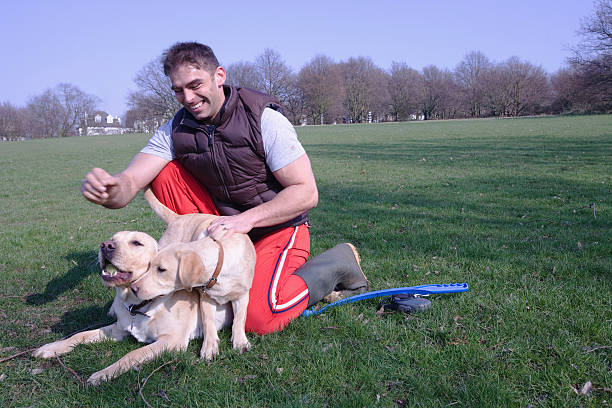 istock Man With Dogs In Park 476614541