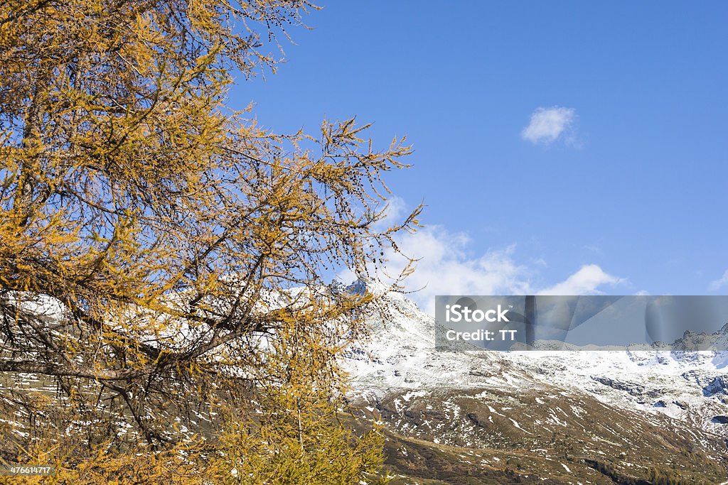 Осень в горы - Стоковые фото High Country роялти-фри