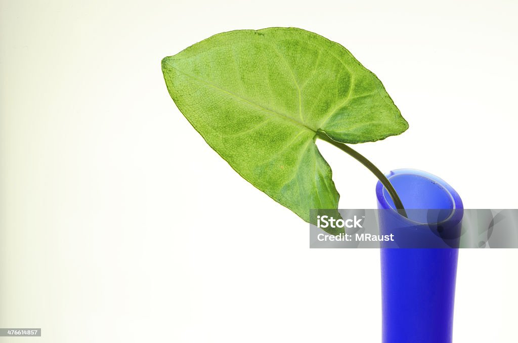 Blatt und Blumenvase - Lizenzfrei Blau Stock-Foto