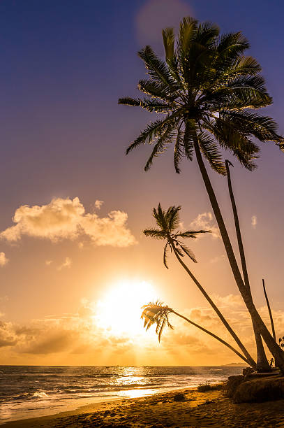 istock Sunrise over Caribbean sea 476618638