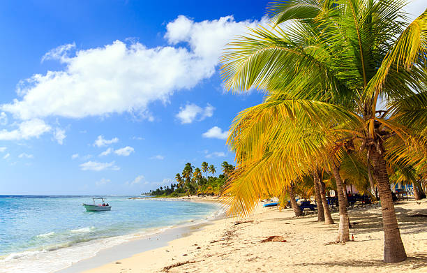 istock Caribbean beach in Dominican Republic 476618674