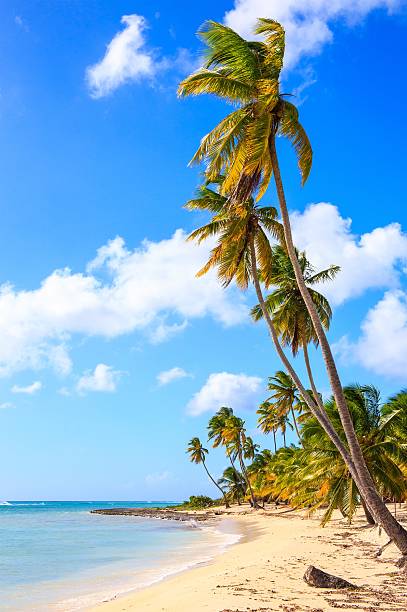 Spiaggia dei Caraibi, nella Repubblica Dominicana - foto stock