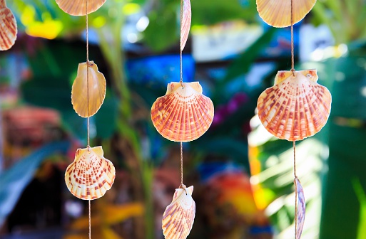 Sea shells souvenirs somewhere in Dominican Republic