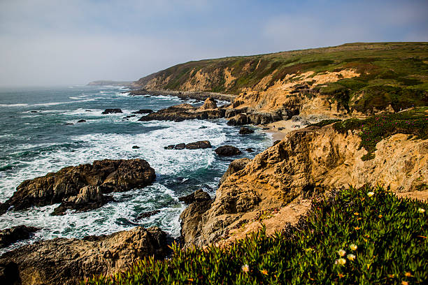 istock The ocean at Anu Nuevo State Park California 476619046