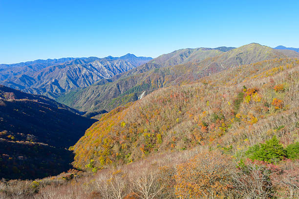 istock Autumn in Oku-Nikko 476619514