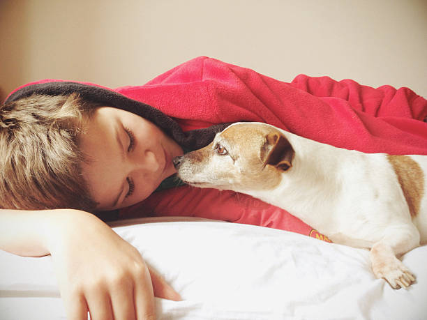 istock Boy kissing dog 476619713