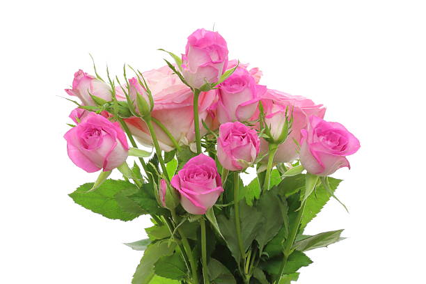 istock Bouquet of roses 476622802