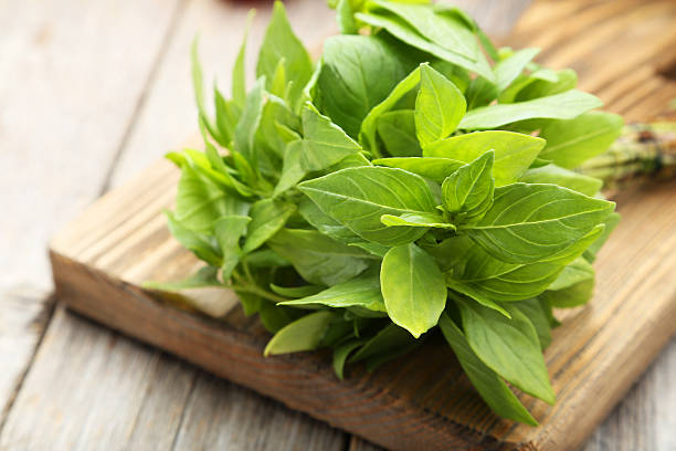 istock Basil leaves on cutting board grey wooden background 476623160
