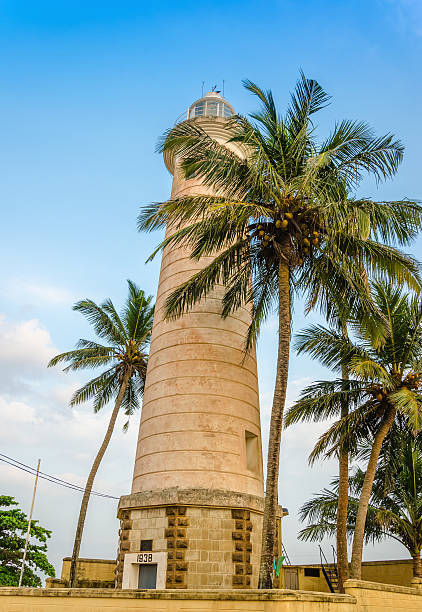 istock Stone tower and palm trees on the beach 476625300