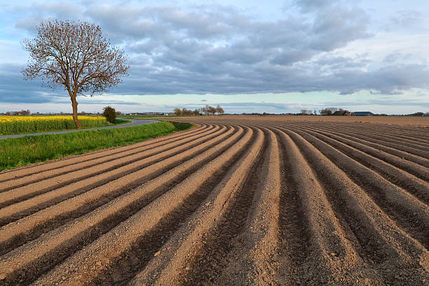 istock plowed field on farmland 476625416