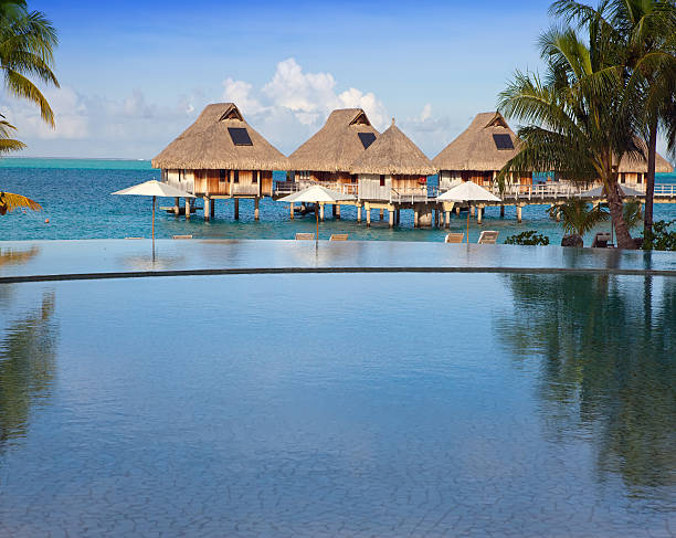 istock seacoast with palm trees and small houses on water. 476626860