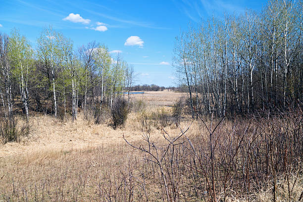 istock Minnesota Wildlife Refuge 476631640