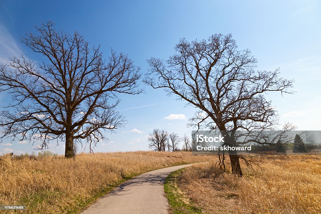 Footpath or Bicycle Trail in a Wildlife Refuge Footpath or bicycle trail in a northern Minnesota wildlife refuge. 2015 Stock Photo