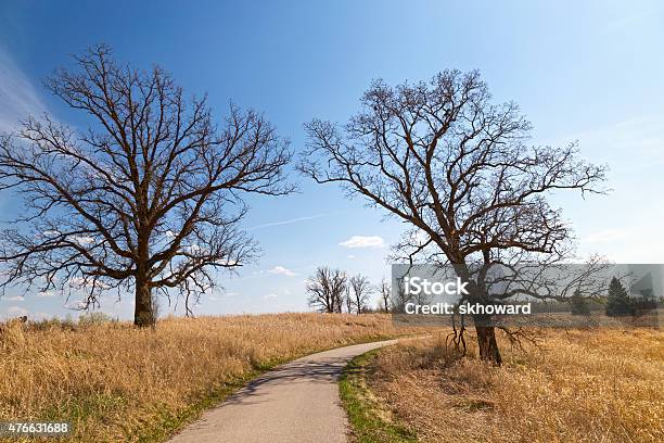 Footpath Or Bicycle Trail In A Wildlife Refuge Stock Photo - Download Image Now - 2015, Bicycle Trail - Outdoor Sports, Country Road
