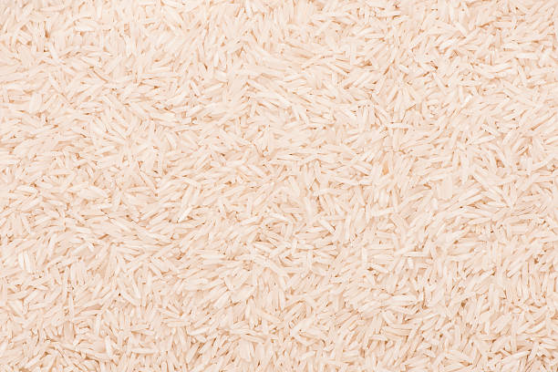 Close-up da asian arroz de jasmim - foto de acervo