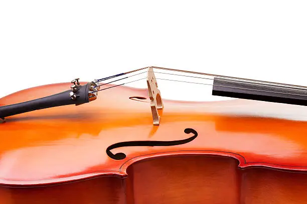 Close-up of cello fragment with bridge, body and F-holes on the white background