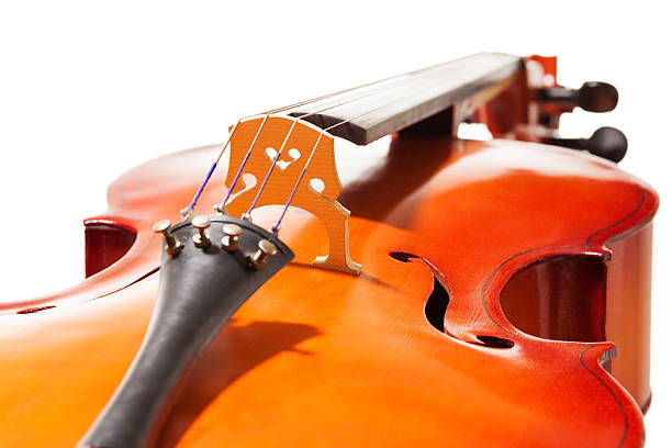 istock Close-up view of cello body on white background 476634310