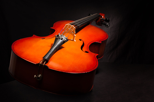 Beautiful violoncello body view in vertical position on the black background