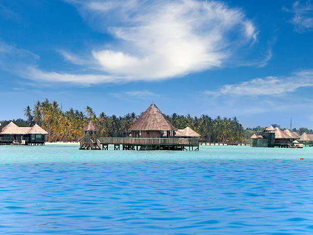 istock Huts in the sea and a palm tree 476637736