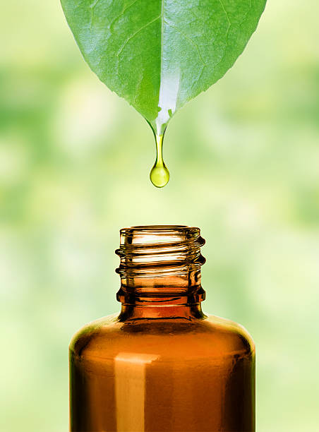 istock Essential oil dropping from leaf to bottle. .Aromatherapy. 476637838