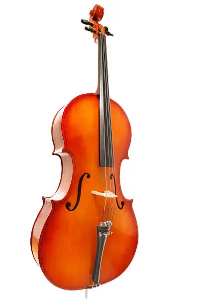Violoncello on the white background standing in full length