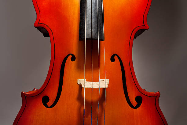 istock Violoncello fragment on the grey background 476646290