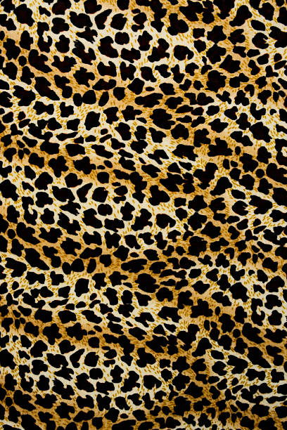 istock texture of print fabric stripes leopard for background 476646298
