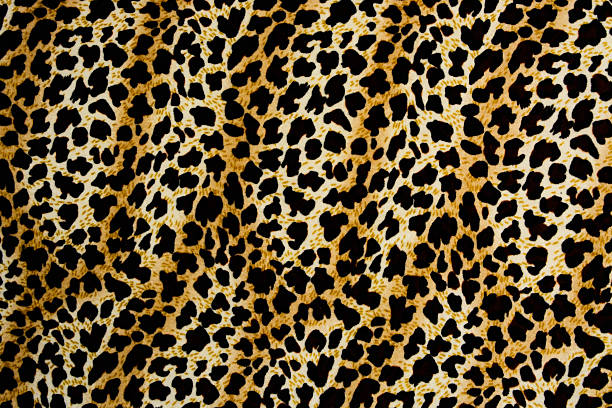 istock texture of print fabric stripes leopard for background 476646300