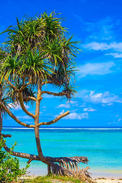 istock Beautiful sea and coastline 476646696