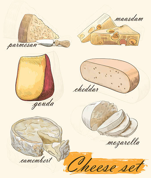 ilustrações de stock, clip art, desenhos animados e ícones de vários tipos de queijo - parmesan cheese