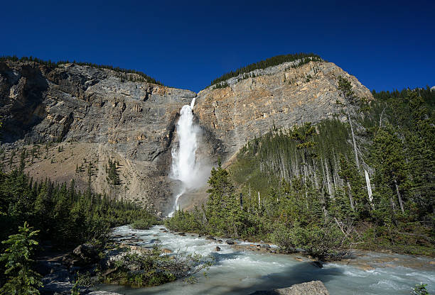 istock Takakkaw Falls & Yoho River in Yoho National Park 476655750