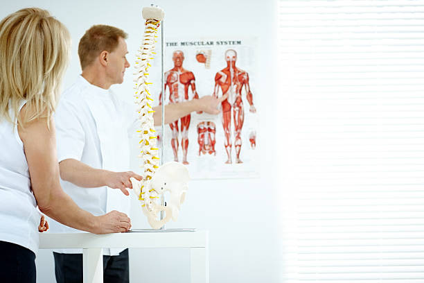 chiropracteur explique patient à l'aide de tableau et modèle - doctor patient chiropractic adjustment communication photos et images de collection