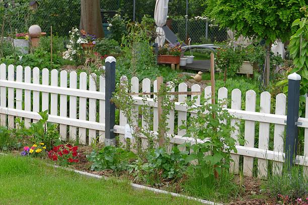 istock Flowers and vegetables in the garden 476662572