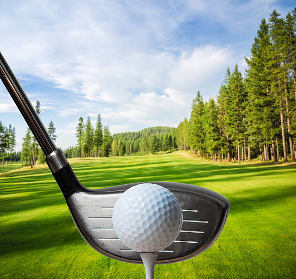 Jogador de golfe prestes a dar uma bola de golfe - foto de acervo