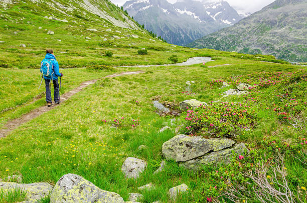 istock Young woman on a mountain trail, Alps, Austria 476663134