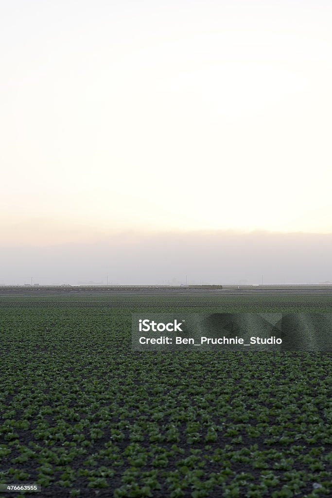 Highway 1, California - Foto de stock de Aire libre libre de derechos