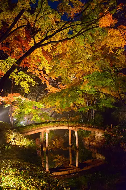 Photo of Autumn foliage in Rikugien Garden, Komagome, Tokyo